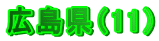 Li11j